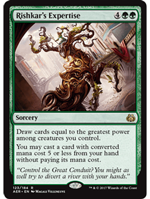 Rishkar's Expertise - AER