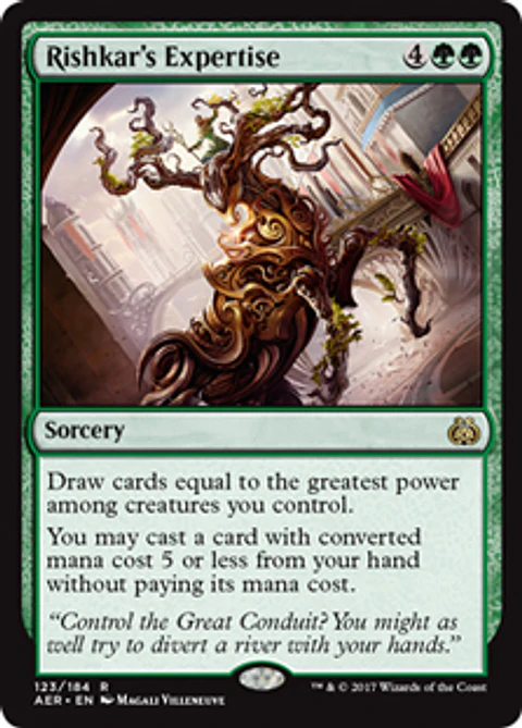 Rishkar's Expertise - AER