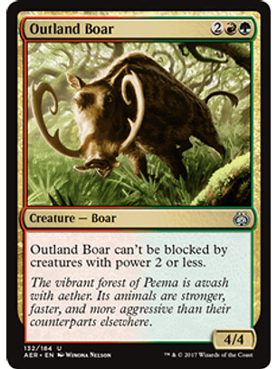 Outland Boar - AER