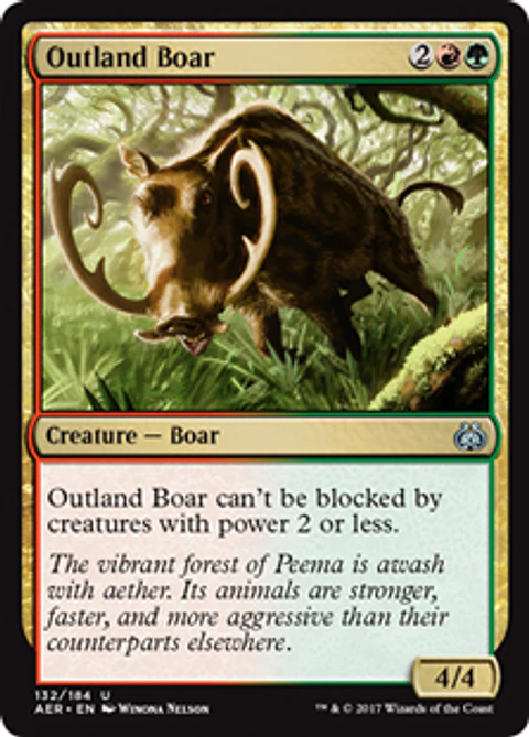 Outland Boar - AER