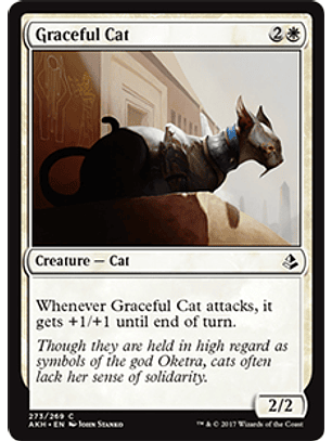 Graceful Cat - AKH