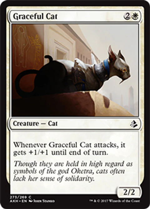 Graceful Cat - AKH