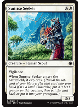 Sunrise Seeker - XLN - C