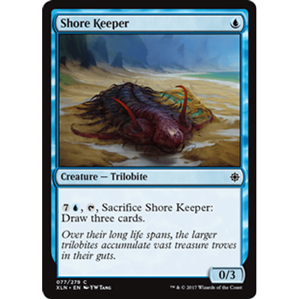 Shore Keeper - XLN - C 