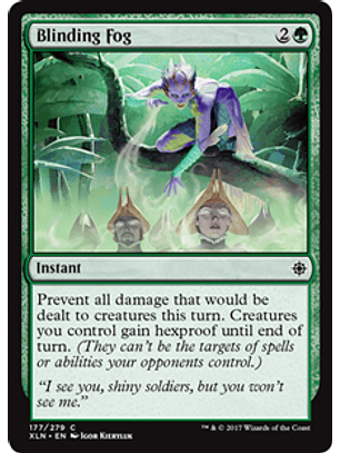 Blinding Fog - XLN - C 