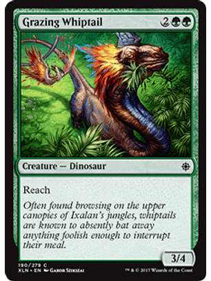 Grazing Whiptail - XLN - C