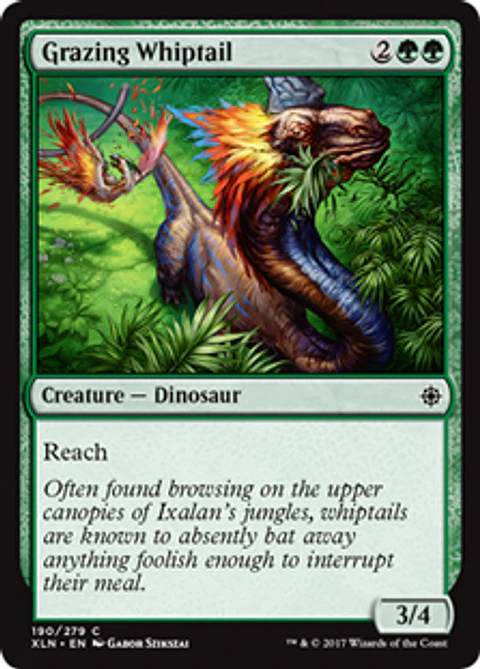 Grazing Whiptail - XLN - C