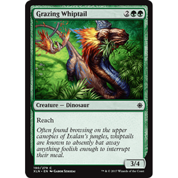 Grazing Whiptail - XLN - C