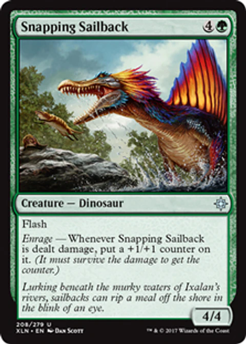 Snapping Sailback - XLN