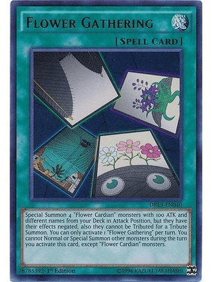 Flower Gathering - DRL3-EN040 - Ultra Rare