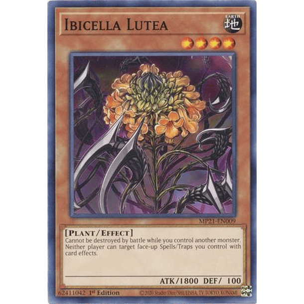 Ibicella Lutea - MP21-EN009 - Common