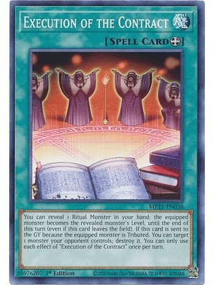 Execution of the Contract - MP21-EN036 - Common