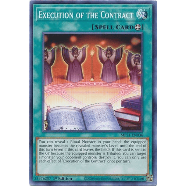Execution of the Contract - MP21-EN036 - Common