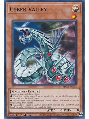 Cyber Valley - SDCS-EN011 - Common