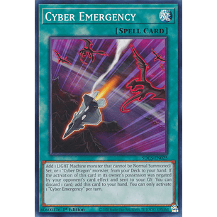 Cyber Emergency - SDCS-EN025 - Common