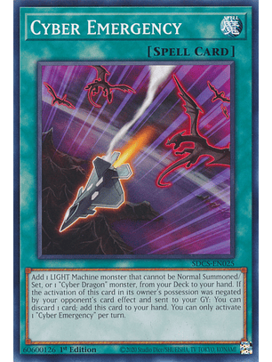 Cyber Emergency - SDCS-EN025 - Common