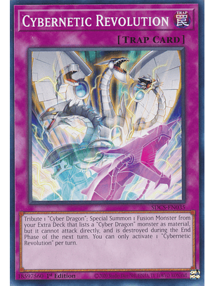 Cybernetic Revolution - SDCS-EN035 - Common