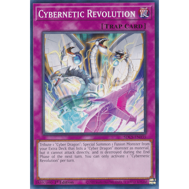 Cybernetic Revolution - SDCS-EN035 - Common