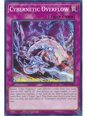 Cybernetic Overflow - SDCS-EN040 - Common
