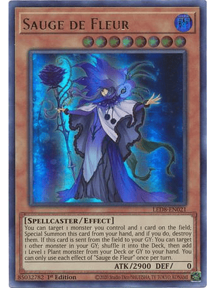 Sauge de Fleur - LED8-EN021 - Ultra Rare