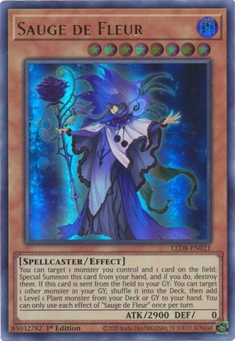 Sauge de Fleur - LED8-EN021 - Ultra Rare