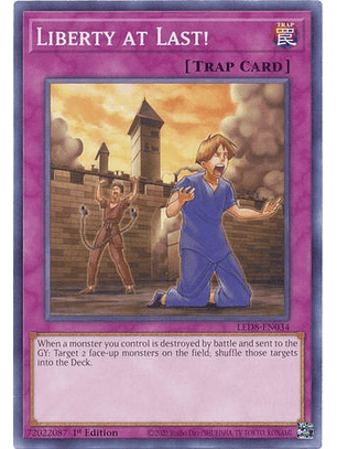 Liberty at Last! - LED8-EN034 - Common