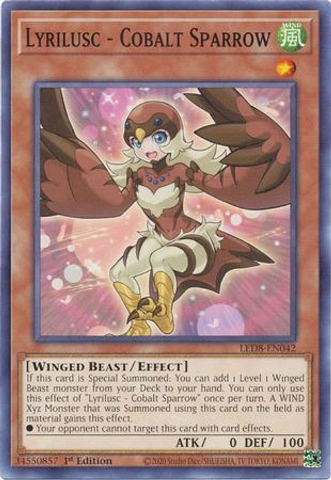 Lyrilusc - Cobalt Sparrow - LED8-EN042 - Common