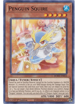 Penguin Squire - BODE-EN024 - Common