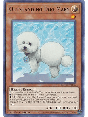 Outstanding Dog Mary - BODE-EN035 - Common