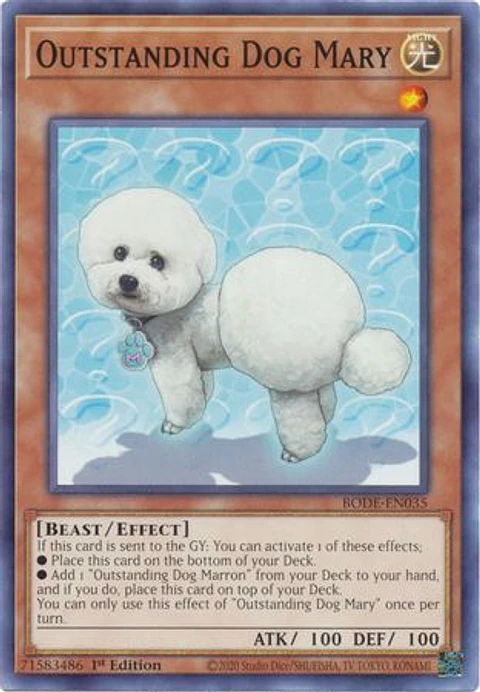 Outstanding Dog Mary - BODE-EN035 - Common