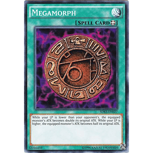 Megamorph - SDKS-EN027 - Common