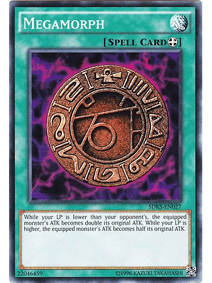 Megamorph - SDKS-EN027 - Common