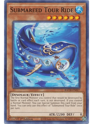 Submareed Tour Ride - BACH-EN027 - Common