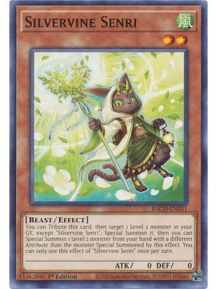 Silvervine Senri - BACH-EN031 - Common 