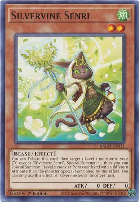 Silvervine Senri - BACH-EN031 - Common 