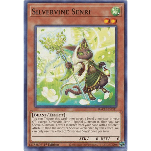 Silvervine Senri - BACH-EN031 - Common 