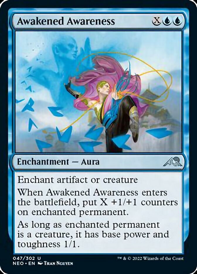 Awakened Awareness - NEO - U  1