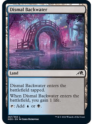 Dismal Backwater - NEO - C
