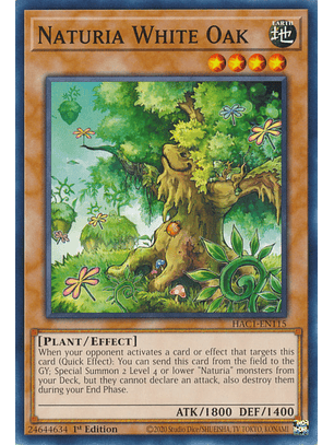 Naturia White Oak - HAC1-EN115 - Common