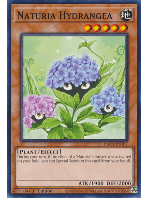 Naturia Hydrangea - HAC1-EN107 - Common 