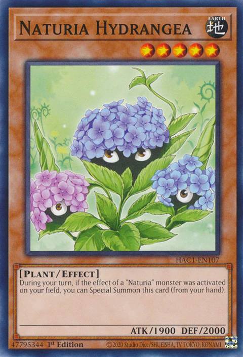 Naturia Hydrangea - HAC1-EN107 - Common 