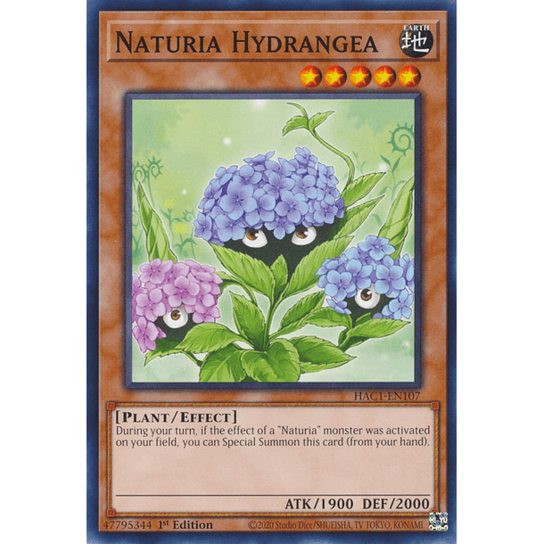 Naturia Hydrangea - HAC1-EN107 - Common 