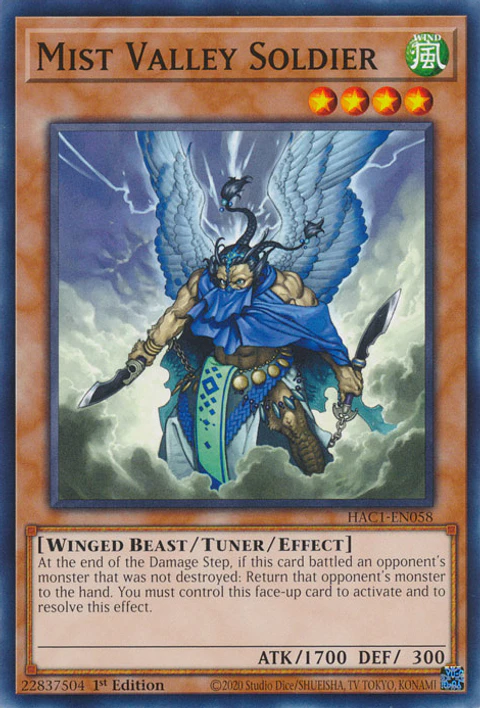 Mist Valley Soldier - HAC1-EN058 - Common 