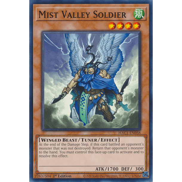 Mist Valley Soldier - HAC1-EN058 - Common 