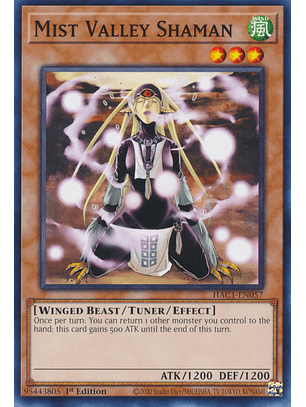Mist Valley Shaman - HAC1-EN057 - Common 