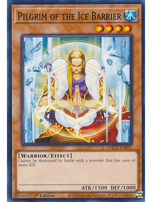 Pilgrim of the Ice Barrier - HAC1-EN035 - Common 