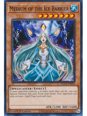 Medium of the Ice Barrier - HAC1-EN034 - Common 