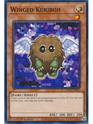 Winged Kuriboh - HAC1-EN013 - Common 