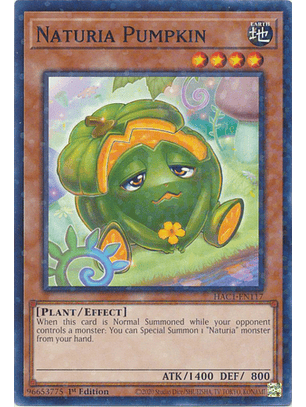 Naturia Pumpkin - HAC1-EN117 - Duel Terminal Normal Parallel Rare