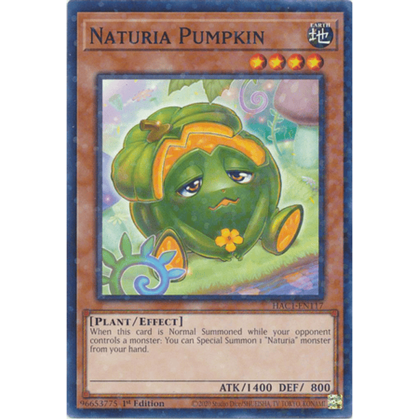 Naturia Pumpkin - HAC1-EN117 - Duel Terminal Normal Parallel Rare